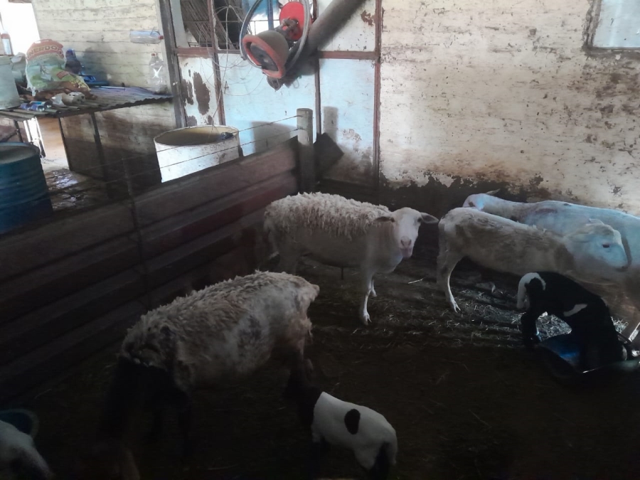 3 Bedroom Property for Sale in Bloemhof Rural North West